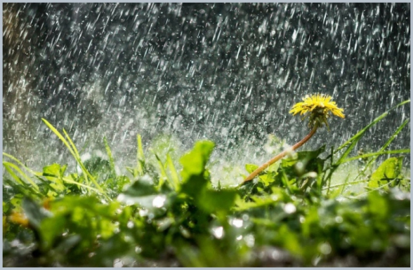 Մայիսի 13-ից հետ ենք գնում դեպի մարտ. Սուրենյան